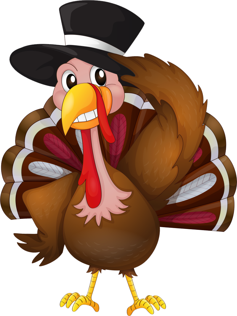 Thanksgiving Turkey